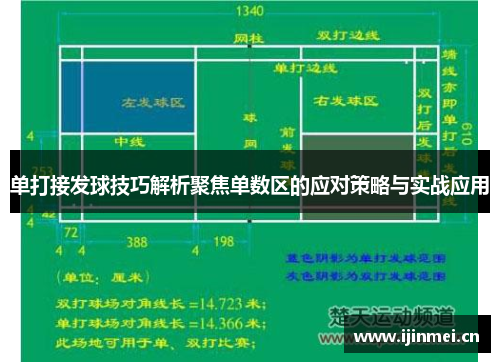 单打接发球技巧解析聚焦单数区的应对策略与实战应用